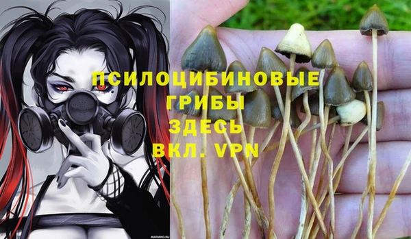 синтетический гашиш Бронницы