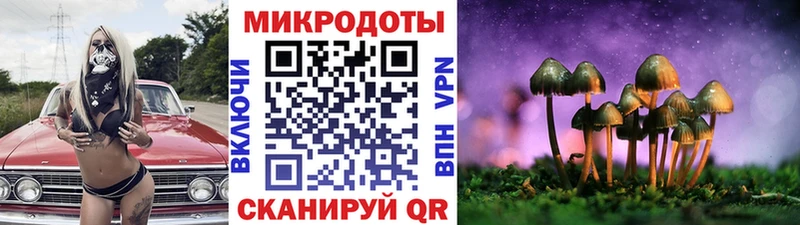 цены   Навашино  Псилоцибиновые грибы MAGIC MUSHROOMS 